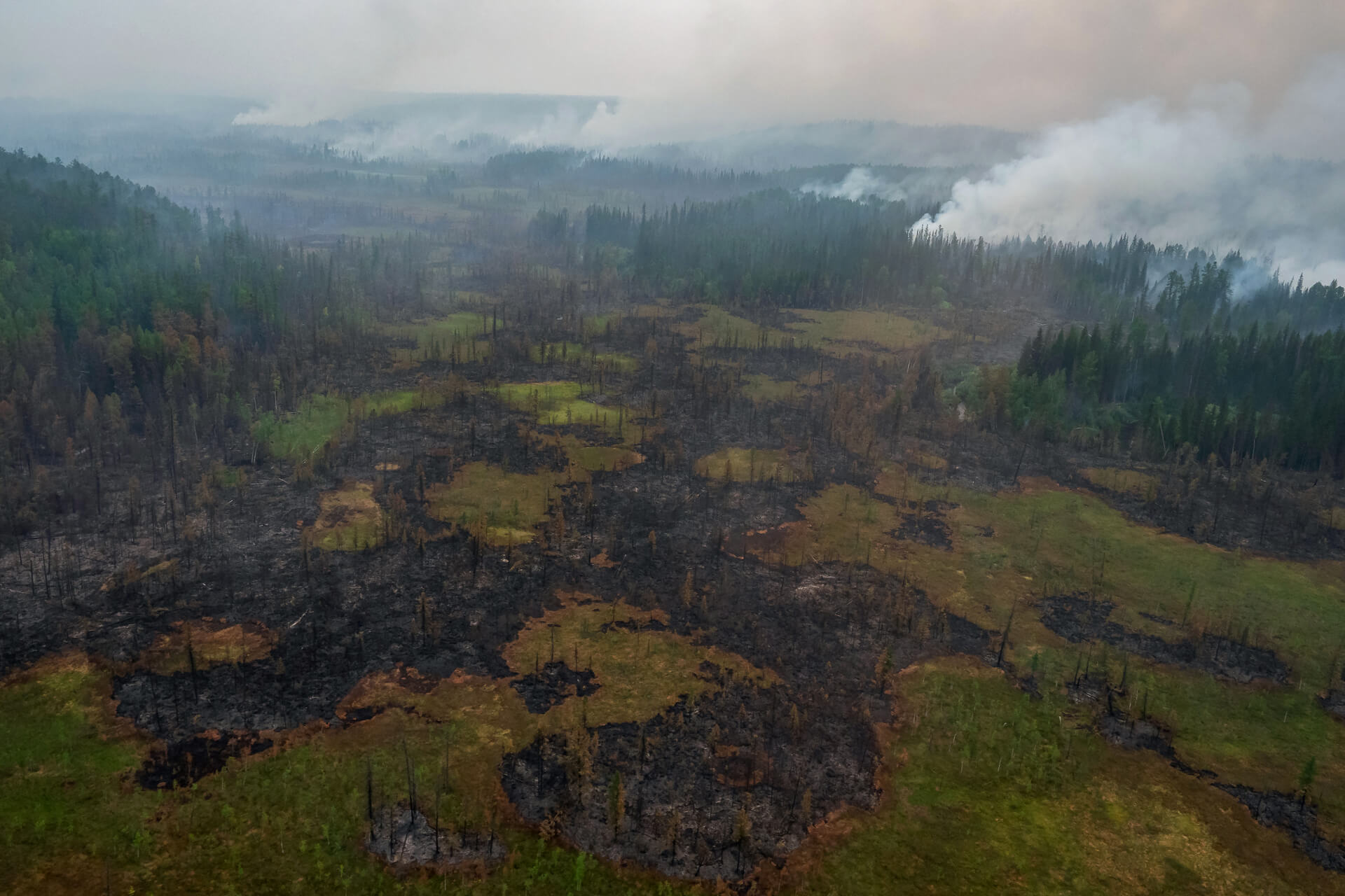 Округ 2019. Аэрофотосъемка Богучанского района лес.