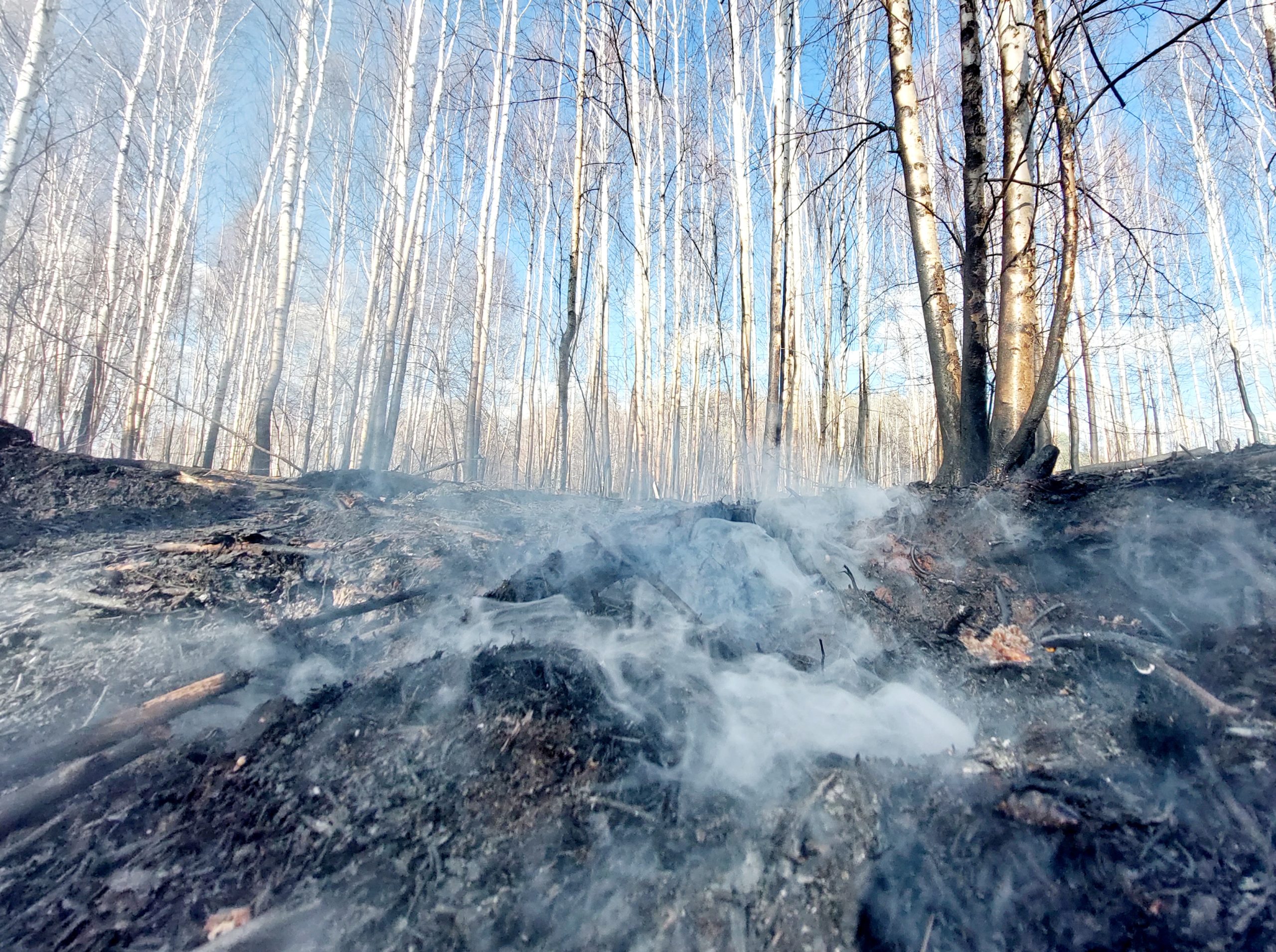 Торфяной пожар в Екатеринбурге