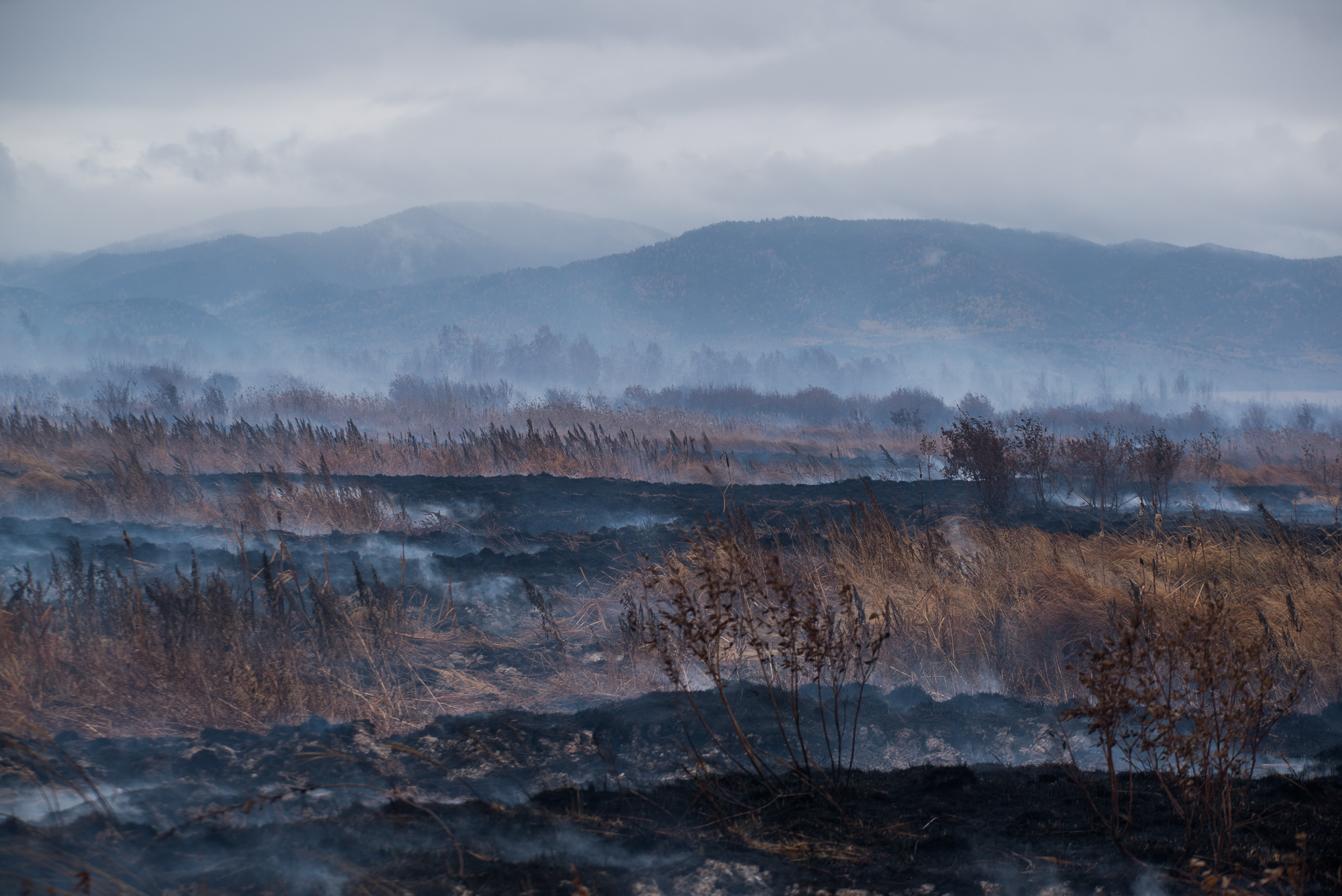 Торфяной пожар. Фото © Юлия Петренко 