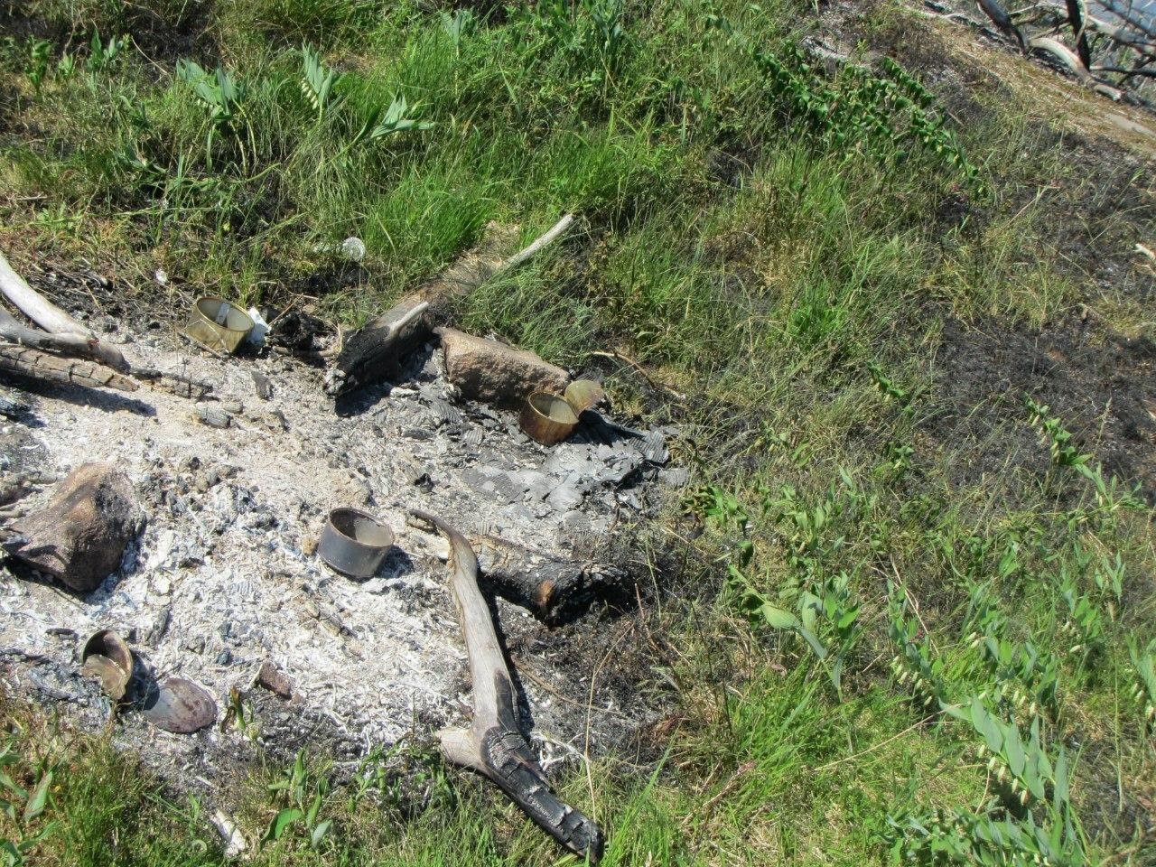 Незатушенный костёр — частая причина пожаров. Фото © Софья Косачёва / Greenpeace 